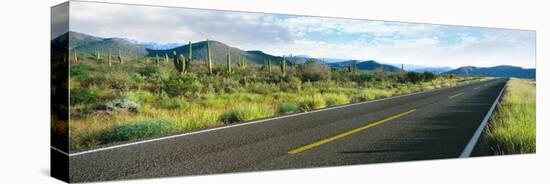 Highway 1 Baja (Trans-Peninsula Highway), Mulege, Baja California Sur, Mexico-null-Stretched Canvas
