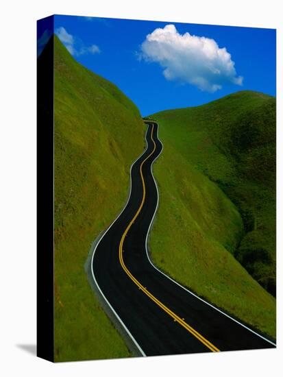 Highway Winding Through Countryside-Charles O'Rear-Premier Image Canvas