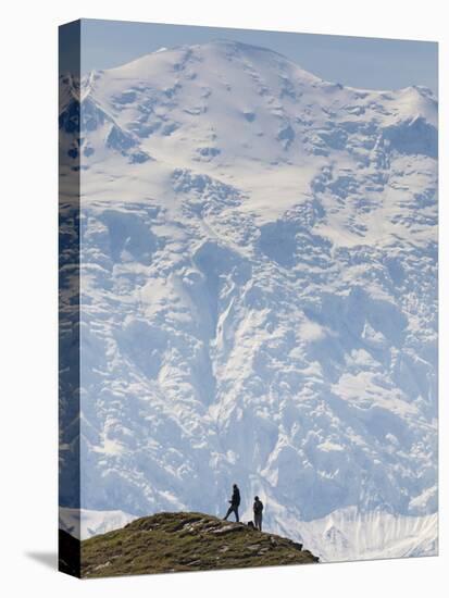 Hiker, Denali National Park, Alaska, USA-Hugh Rose-Premier Image Canvas