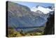 Hikers Cross a Footbridge, Rob Roy Glacier Trail, New Zealand-James White-Premier Image Canvas