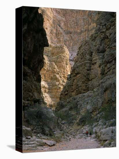 Hikers & Dog in Pigeon Canyon, Grand Canyon-Parashant National Monument, Arizona, USA-Scott T. Smith-Premier Image Canvas