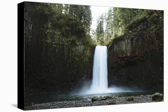 Hiking At Abiqua Falls. Willamette Valley, Oregon-Justin Bailie-Premier Image Canvas