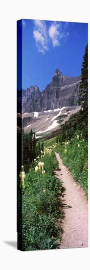 Hiking Trail at Us Glacier National Park, Montana, USA-null-Stretched Canvas