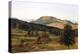 Hill and Dale-Albert Bierstadt-Premier Image Canvas