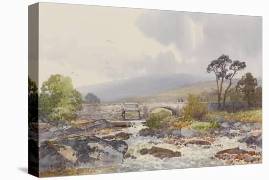 Hill Bridge on the Tavy , C.1895-96-Frederick John Widgery-Premier Image Canvas