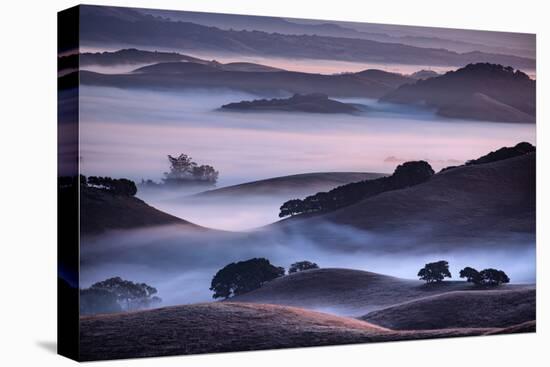 Hills and Fog of Northern California, Petaluma, Bay Area-Vincent James-Premier Image Canvas
