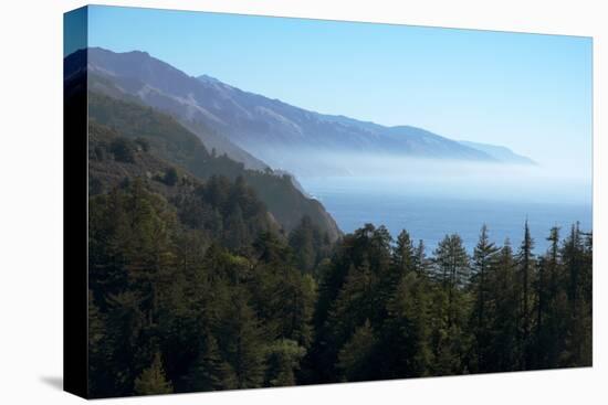 Hills and forest with misty coastline beyond, Big Sur, California, United States of America-Ethel Davies-Premier Image Canvas