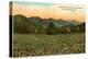 Hills, Field, Black Mountain, North Carolina-null-Stretched Canvas