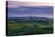 Hills Mist and Winter Green Northern California Hills Marin County Country-Vincent James-Premier Image Canvas