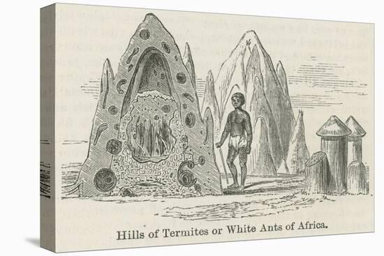 Hills of Termites or White Ants of Africa-null-Premier Image Canvas