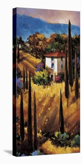 Hills of Tuscany-Nancy O'toole-Stretched Canvas