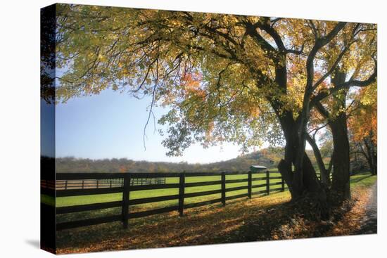 Hillside Farm I-Alan Hausenflock-Premier Image Canvas