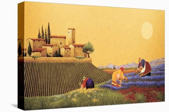 Hillside Flowers-Lowell Herrero-Stretched Canvas