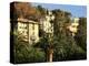 Hillside Mansions Amongst Palms, Santa Margherita Ligure, Portofino Peninsula, Liguria, Italy-Ruth Tomlinson-Premier Image Canvas