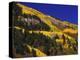 Hillside of Aspen Trees and Evergreen Trees, La Plata County, Colorado-Greg Probst-Premier Image Canvas