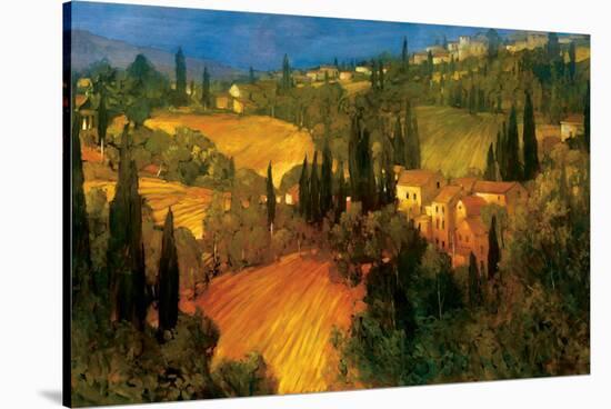 Hillside - Tuscany-Philip Craig-Stretched Canvas