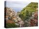 Hillside Village of Manarola, Cinque Terre, Italy-Dennis Flaherty-Premier Image Canvas