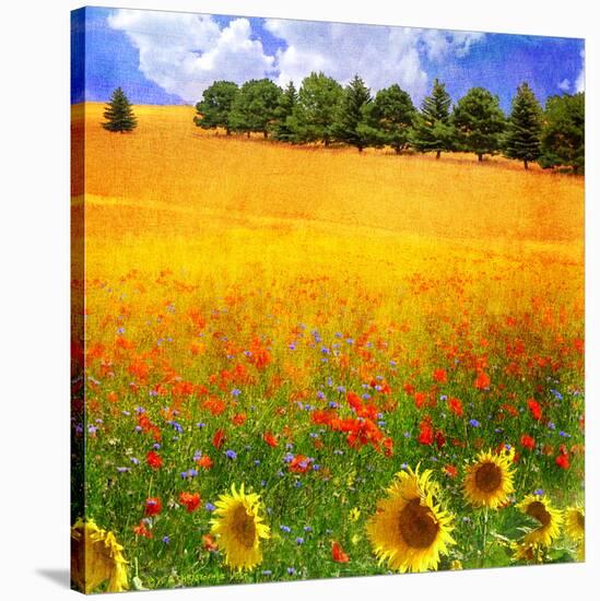 Hilltop Trees with Poppies II-Chris Vest-Stretched Canvas