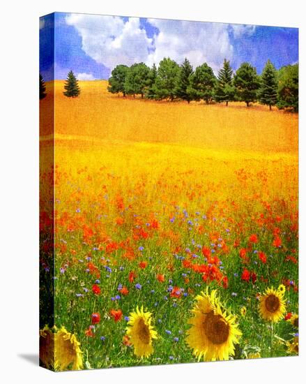 Hilltop Trees with Poppies III-Chris Vest-Stretched Canvas