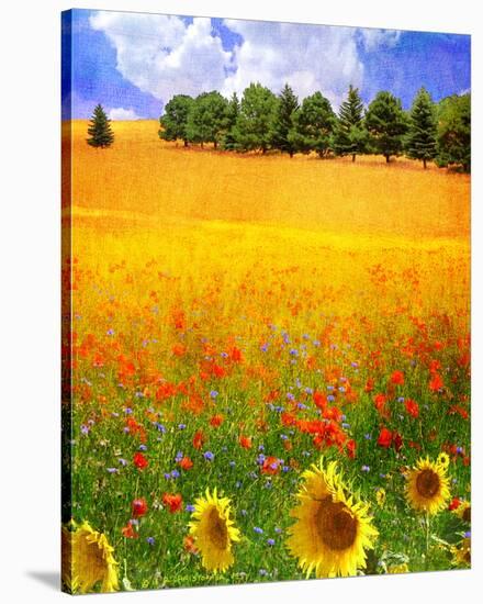 Hilltop Trees with Poppies III-Chris Vest-Stretched Canvas