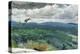 Hilly Landscape, 1894-Winslow Homer-Premier Image Canvas