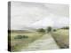 Hilly Landscape-Allison Pearce-Stretched Canvas