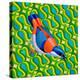 Himalayan Cutia Bird, 2023 (Oil on Canvas)-Jane Tattersfield-Premier Image Canvas