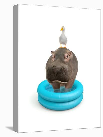 Hippo and Duck-J Hovenstine Studios-Premier Image Canvas