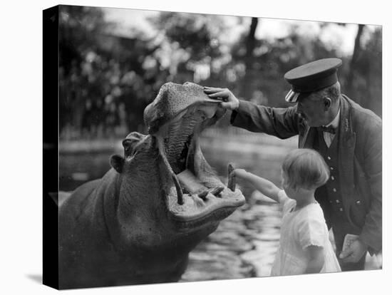Hippo's Dental Check-null-Premier Image Canvas