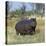 Hippo, with Red-Billed Oxpeckers (Tick Birds), Grazes, Okavango Swamp Edge, Moremi Wildlife Reserve-Nigel Pavitt-Premier Image Canvas