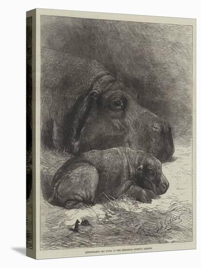 Hippopotamus and Young at the Zoological Society's Gardens-George Bouverie Goddard-Premier Image Canvas