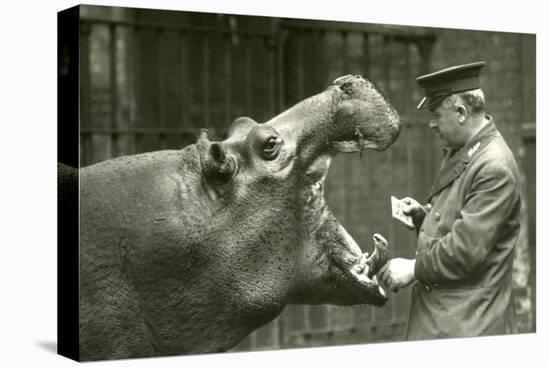 Hippopotamus 'Bobbie' with Keeper Ernie Bowman, London Zoo,1927 (B/W Photo)-Frederick William Bond-Premier Image Canvas