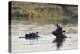 Hippopotamus (Hippopotamus Amphibius), Khwai Concession, Okavango Delta, Botswana, Africa-Sergio Pitamitz-Premier Image Canvas