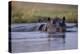 Hippopotamus in River-null-Premier Image Canvas