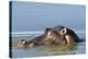 Hippopotamus In Water-Tony Camacho-Premier Image Canvas