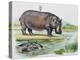 Hippopotamus or Hippo (Hippopotamus Amphibius), Hippopotamidae-null-Premier Image Canvas