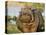 Hippopotamus, Tanzania-Charles Sleicher-Premier Image Canvas