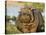 Hippopotamus, Tanzania-Charles Sleicher-Premier Image Canvas