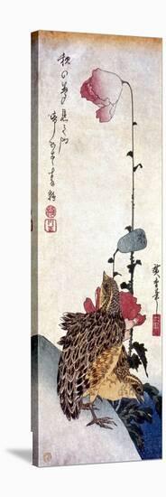 Hiroshige: Poppies-Ando Hiroshige-Premier Image Canvas