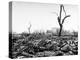 Hiroshima in Ruins Following the Atomic Bomb, Dropped at End of WWII-Bernard Hoffman-Premier Image Canvas