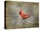 His Red Glory Cardinal-Jai Johnson-Premier Image Canvas