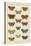 Histoire Naturelle Butterflies I-null-Stretched Canvas