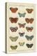 Histoire Naturelle Butterflies I-null-Stretched Canvas