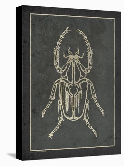 Historia Insectorum Generalis I-The Vintage Collection-Stretched Canvas