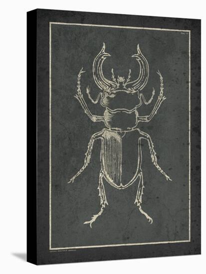 Historia Insectorum Generalis III-The Vintage Collection-Stretched Canvas