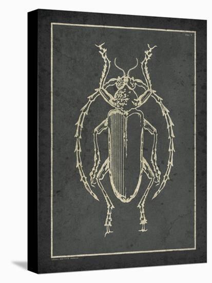 Historia Insectorum Generalis V-The Vintage Collection-Stretched Canvas