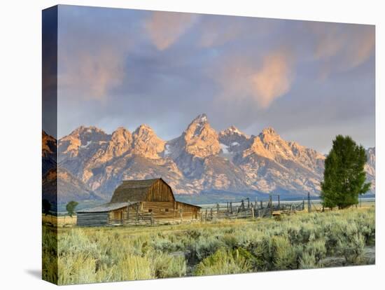 Historic Barn, Mormon Row and Teton Mountain Range, Grand Teton National Park, Wyoming, USA-Michele Falzone-Premier Image Canvas