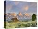 Historic Barn, Mormon Row and Teton Mountain Range, Grand Teton National Park, Wyoming, USA-Michele Falzone-Premier Image Canvas