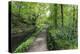 Historic Cromford Canal and Tow Path in Spring-Eleanor Scriven-Premier Image Canvas