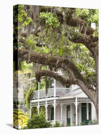 Historic Home with Spanish Moss-Covered Oak Tree, Fernandina Beach, Amelia Island, Florida, Usa-Cindy Miller Hopkins-Premier Image Canvas